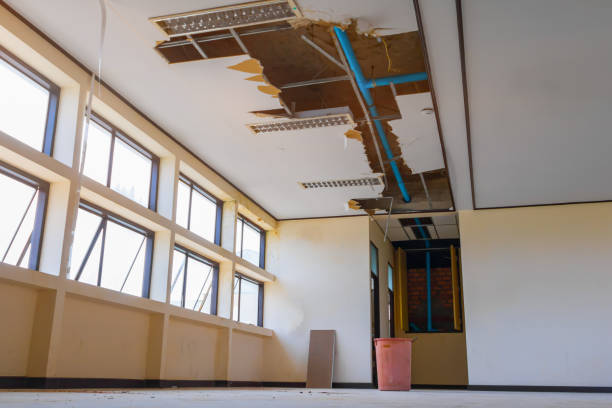 Best Water damage repair service  in Burton, OH