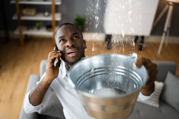 Best Residential water damage restoration  in Burton, OH