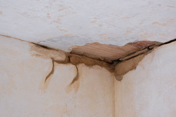 Best Water damage contractors near me  in Burton, OH
