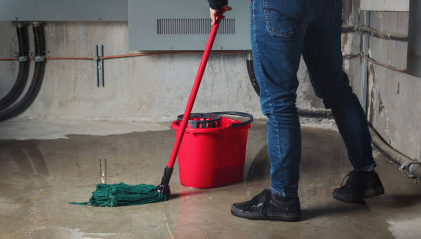 Best Fire Damage Restoration  in Burton, OH