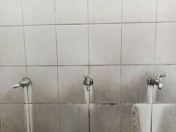 Best Sewage cleanup and water damage restoration  in Burton, OH