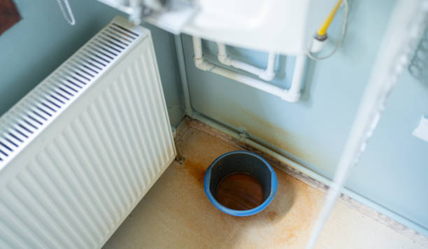 Best Basement water damage restoration  in Burton, OH