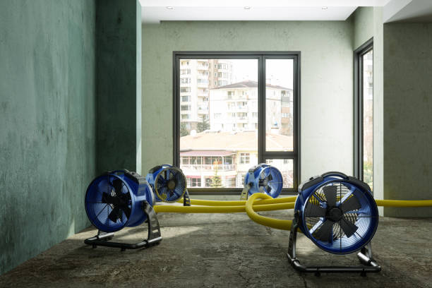 Best Ceiling water damage repair  in Burton, OH